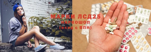 винт Аркадак