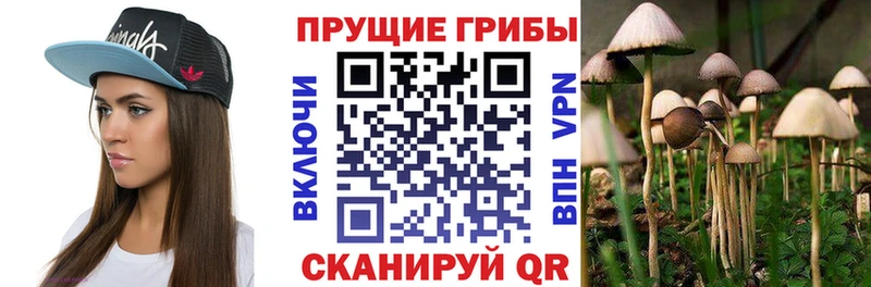 Галлюциногенные грибы ЛСД  цена   Дно 